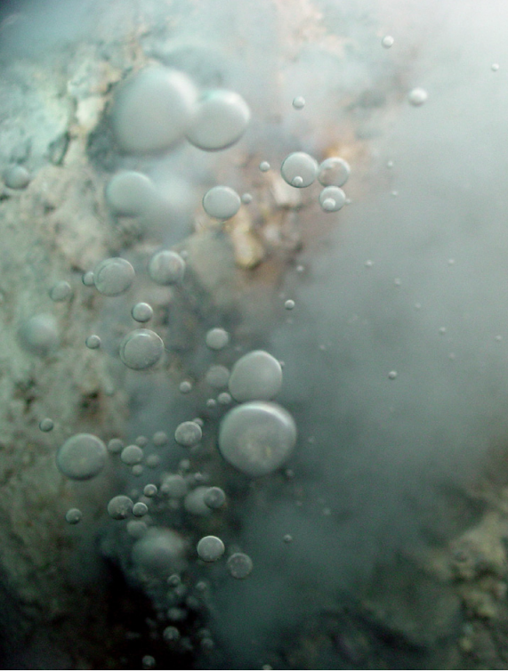 Some bubbles of carbon dioxide